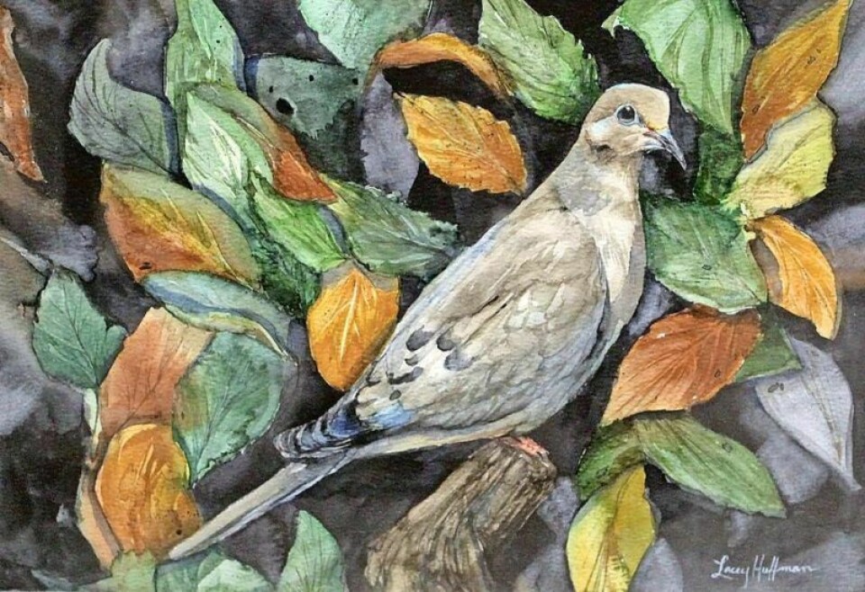 “Mourning Dove” is one of the works in the exhibit of Lacey Huffman now on display at Wayne Center for the Arts. Local artist exhibits open at WCA