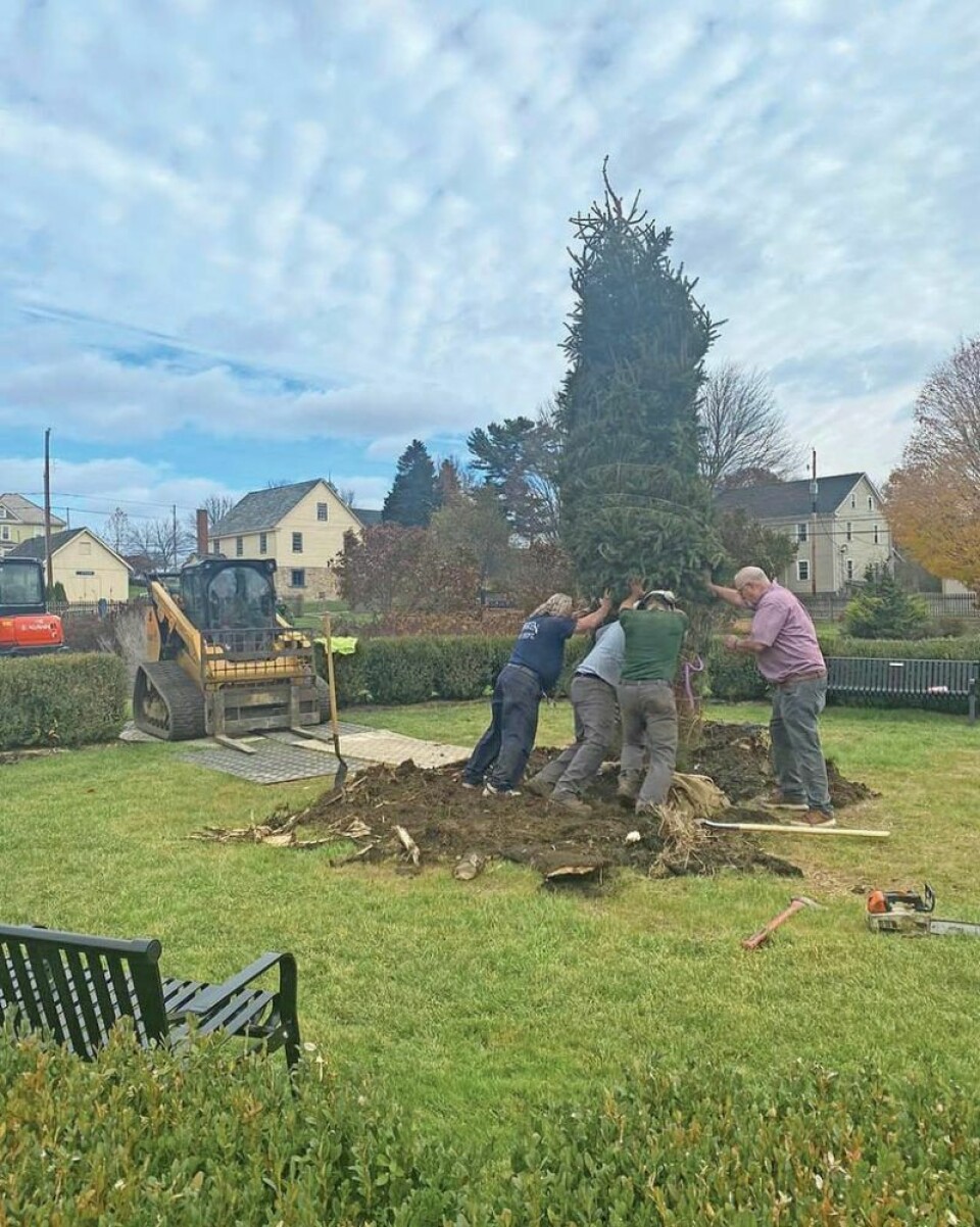 There also will be a tree dedication ceremony at 12:30 p.m. on opening day to celebrate the new tree replacing the Tree of Everlasting Life. Historic Zoar Village to host opening day April 6