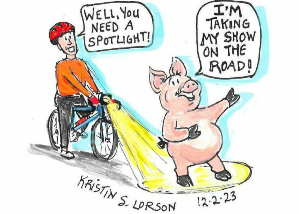 Bringing home the bacon with a hog wild night ride Bringing home the bacon with a hog wild night ride