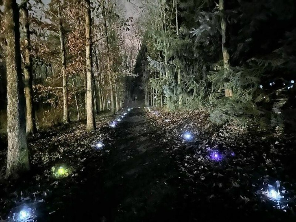 By walking the luminary trail, attendees partake in a legacy of conservation and appreciation for the natural world. Celebrate the beauty of winter on the trails at Norma Johnson