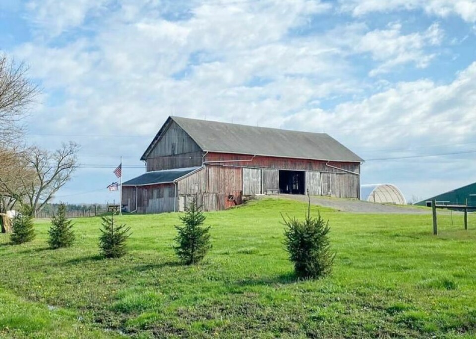 The very trees used in this barn were saplings when the United States was still a fledgling nation. Journey to bring barn back to life