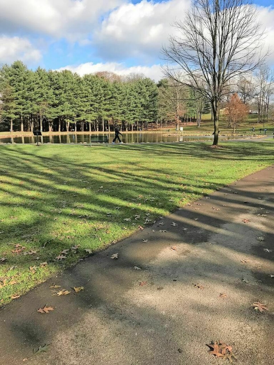 The Dover Community Parks Foundation card party fundraiser is planned for Saturday, April 20. Foundation card party to benefit the Dover City Park