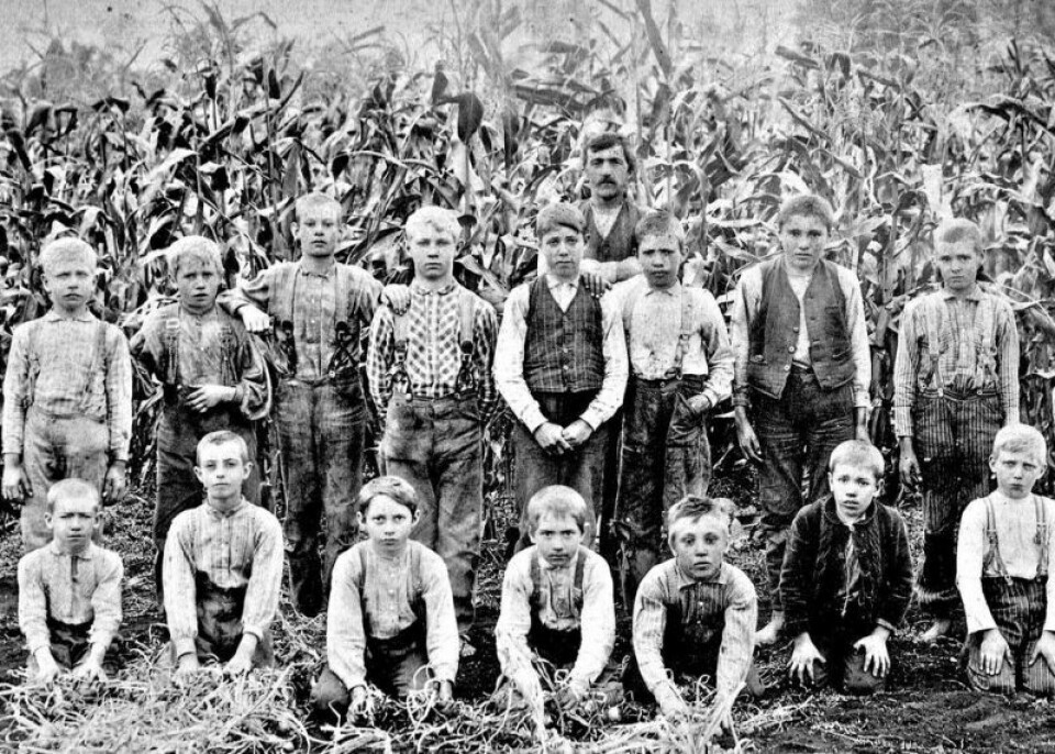 Around 1900 in the area, many acres were devoted to the growing of onions and celery, and much of the labor for these farms were children who plucked weeds on their hands and knees for 10 cents per hour. The child laborers were locally referred to as muck angels. Cash crops have always been a staple in the area