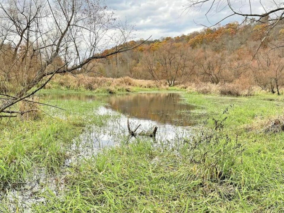 The Killbuck Watershed Land Trust has created many projects to save the natural swampland around Wayne and Holmes counties including work at Oxbow Pond. The newest endeavor will be to shore up the area of Crane Swamp. Killbuck Watershed Land Trust plans to rejuvenate Crane Swamp