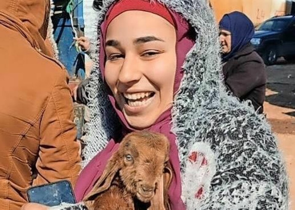 Goats like this one can become a life-sustaining business for many people in poverty-stricken countries. The annual MCC Run for Relief will take place July 13 in Mt. Hope. Running in Mt. Hope for relief, goats and MCC