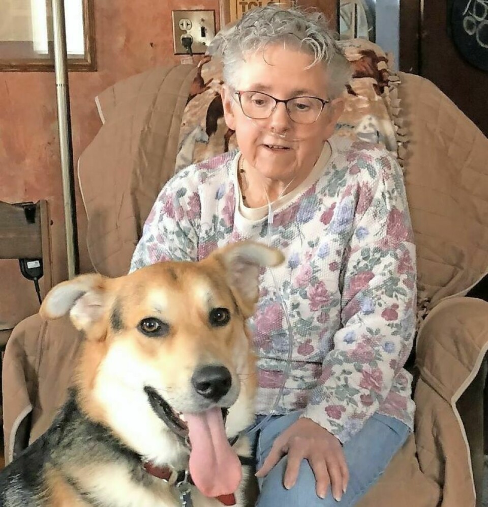 Linda Hren has spent the last 20 years training dogs she rescued to be reading heroes for area children. Now she needs her dog Argos to be her hero as her service dog. Local woman seeks help with service dog costs