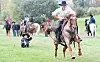 Horse games provide a day of speed, power and beauty