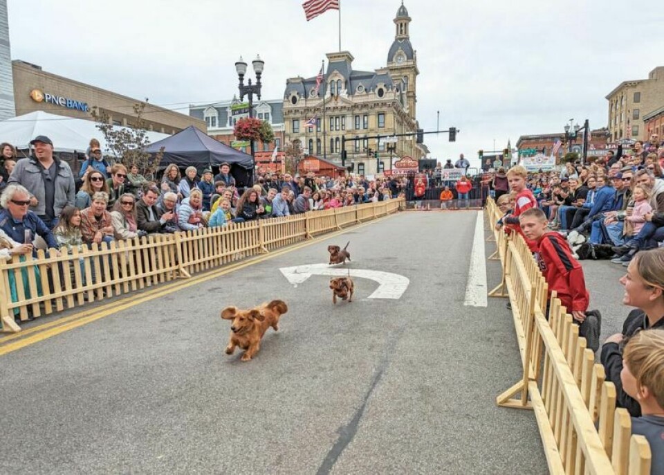 One of the highlights in recent years at Woosterfest is the Weiner Dog Race. This year’s festival, Sept. 29-30 in Wooster, will be the 40th edition. Woosterfest coming to downtown Wooster for 40th year