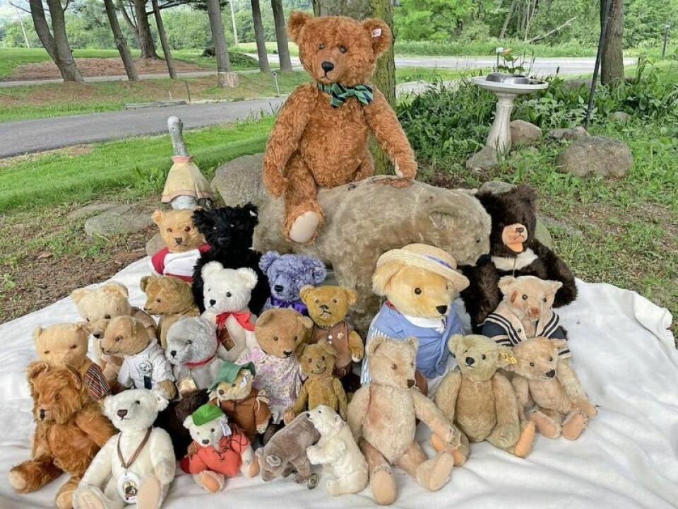Cherie Baer Graham of Dalton will present The History of the Teddy Bear, a free program sponsored by the County Line Historical Society of Wayne/Holmes on June 15 at Shreve Presbyterian Church. History of Teddy bear subject of next CLHS program