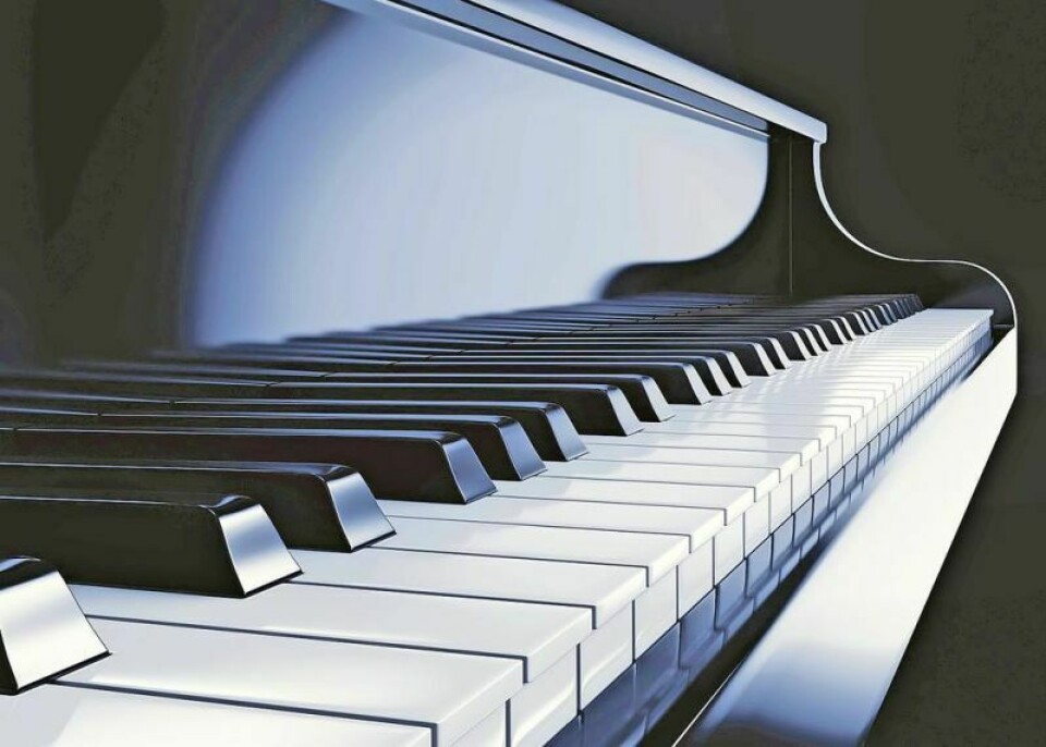 Among the performers at Wooster Music Club’s April meeting was Meg Litteral, who played several pieces on both accordion and piano. Wooster Music Club April program includes accordion