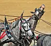Draft horses and ag breakfast featured at the fair