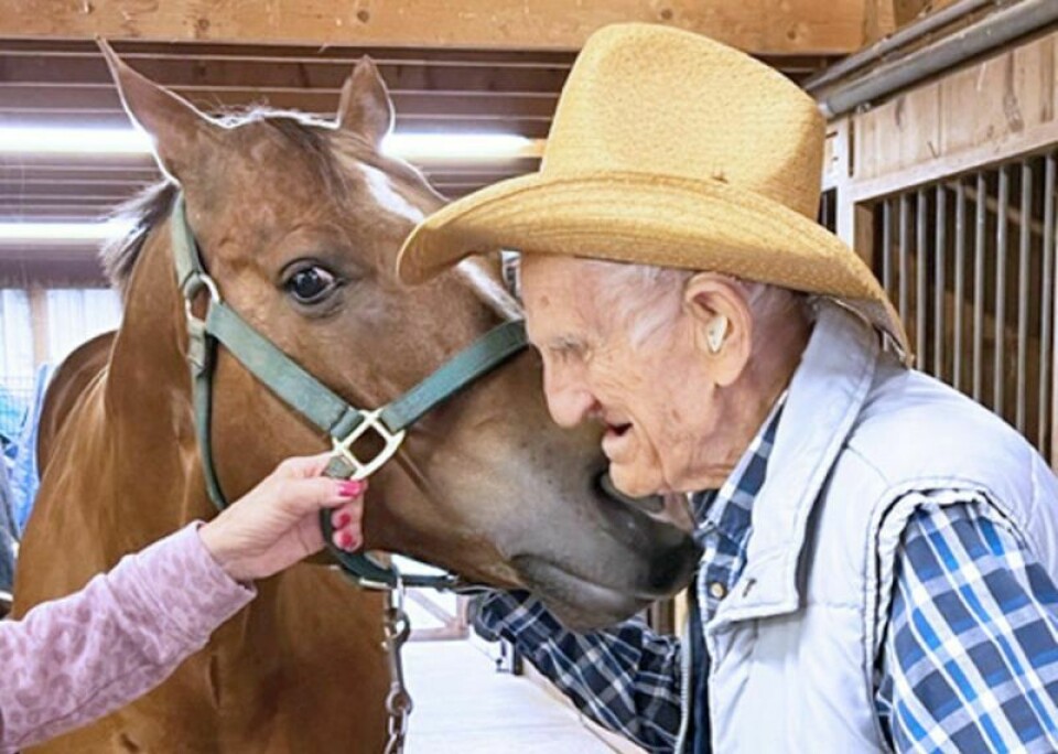 Longtime horse lover Chuck Ridenbaugh, of Orrville, gets a nuzzle from Charlie. As a patient of Ohio’s Hospice LifeCare, Ridenbaugh was able to fulfill his wish of riding a horse again. Through Hospice, Orrville horse lover gets his ride
