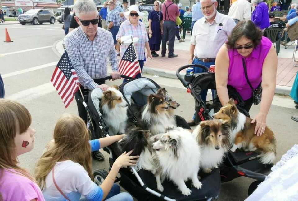 What constitutes a Harvest Fest Parade entry? Anything from giant floats, tractors pulling trailers, business trucks and marching bands right down to a family of dogs whose owners were inspired to join. Applications are now available for all to sign up for the event this fall. Applications are available for Harvest Fest Parade