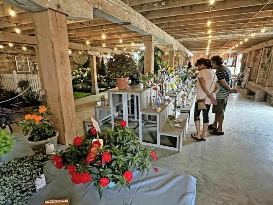 How can you take your Holmes County Fair Home Arts Show project to the next level? An upcoming seminar at Harvest Ridge on Saturday, March 16 featuring advice from professional judges will help do just that. Fair Home Arts Show seminar will help presenters prepare