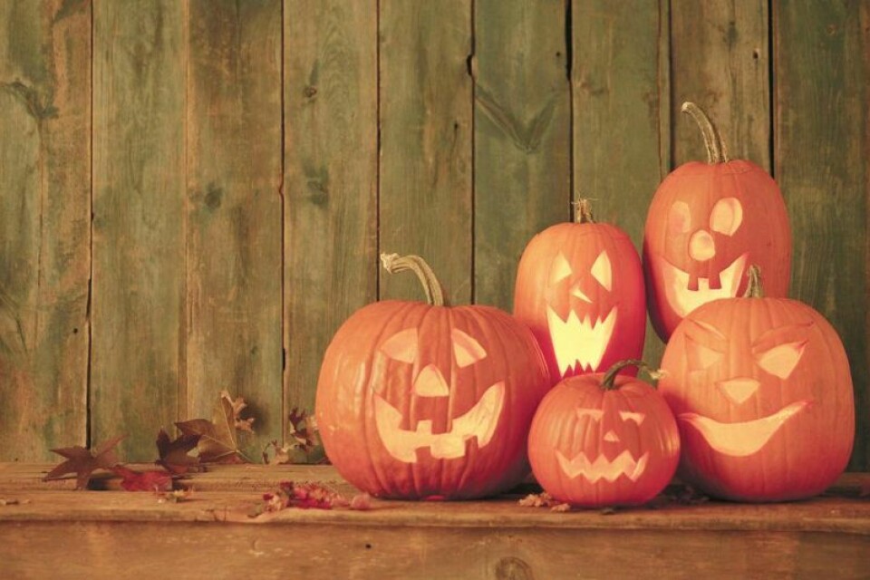 Fall Fest is a family-friendly event held at the Norma Johnson Center. Fall Fest is a family-friendly event