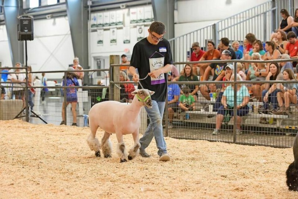 Andrew was one of a record number of individuals with special needs who enjoyed showing many different animals during last year’s Be You showmanship event at the Holmes County Fair. Be You Livestock Show is inspiring fun for everyone