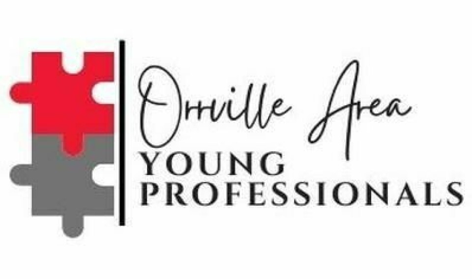Young Professionals meet Young Professionals meet