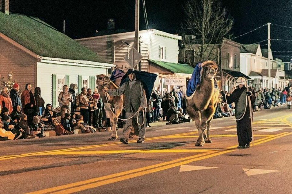 The Berlin Nativity Parade on Friday, Nov. 29 will feature plenty of live animals, courtesy of The Farm in Walnut Creek, including camels being led by the shepherds. Berlin Live Nativity goes old-school for Christmas