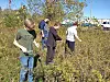 Scouts collect native seeds in Gnadenhutten