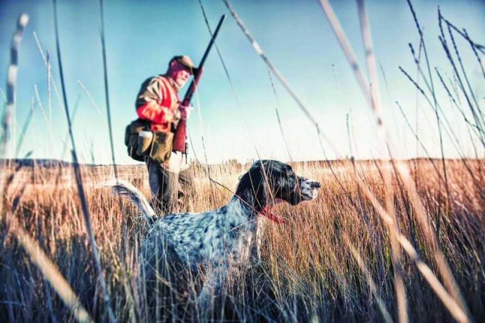 Hunting and fishing are rooted in Ohio's heritage, with an estimated 479,000 Ohioans participating in outdoor hunting activities in 2022. Ohio House hunt and fish amendment passes committee