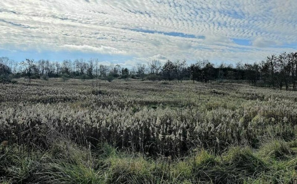 The former Holmes County Landfill finally has a new name. The Holmes County Park District recently renamed the area Holmes County's Legacy Point. Providing plenty of scenic views in every direction, the land will soon be open to those who want to experience nature at its finest. Holmes park district eager to unleash another natural beauty