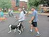 Flash Dash 5K-9 run is Sept. 6 at KSU in New Philadelphia