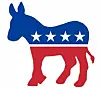 Democratic Central Committee officers elected