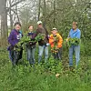 Controlling an invasive species: Non-native garlic mustard isnt considered a good plant