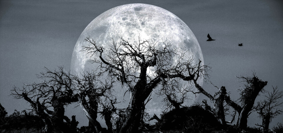 Talk on Holmes County hauntings, cryptids set for Sept. 25 in Millersburg