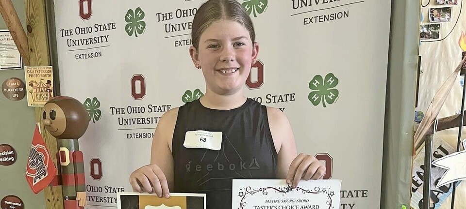 Young cooks showcase creativity and flavor at county fair smorgasbord