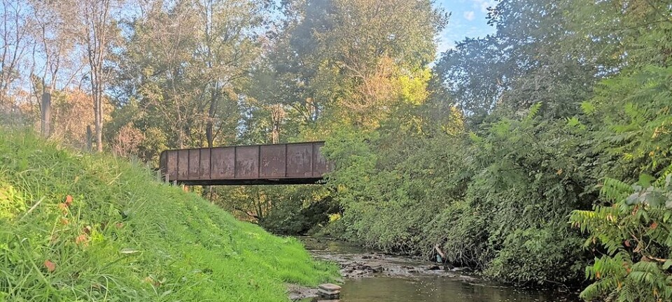 Jefferson SWCD pursues $630,000 grant for Piney Fork Trail project