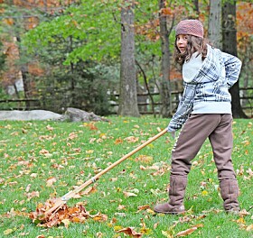 NPHS Leadership Club to hold fall leaf raking Nov. 8