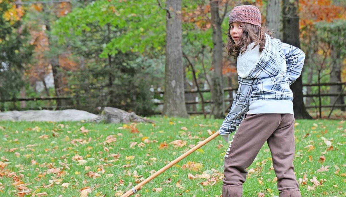 Autnum Sticks NPHS Leadership Club to hold fall leaf raking Nov. 8