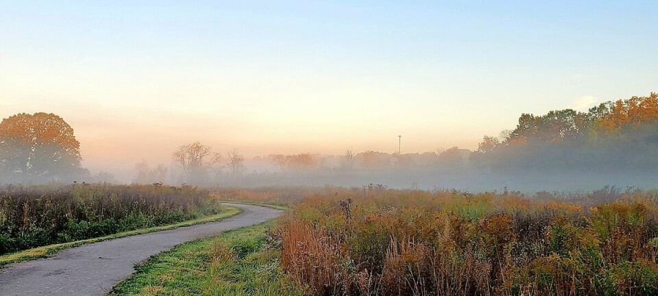 Medina County Park District fills November with art, hikes and holiday fun