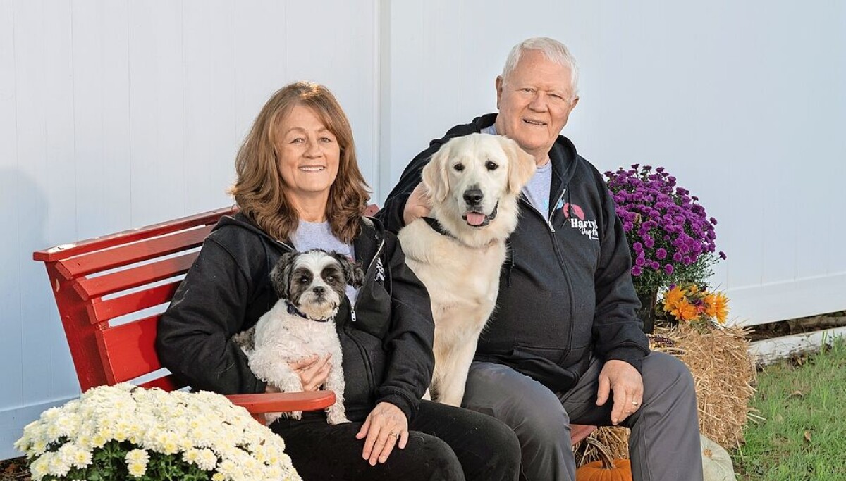 Hartville Dog Haven to open new boarding and daycare facility Nov. 1, 2025 Hartville Dog Haven to open new boarding and daycare facility Nov. 1, 2025