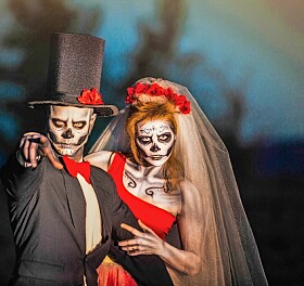 Cadiz Business Association to host adult trick-or-treat and costume contest Nov. 1