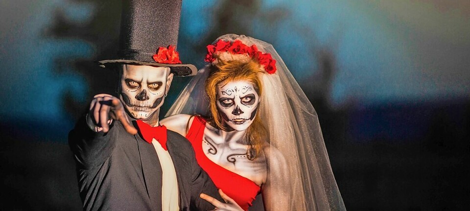 Cadiz Business Association to host adult trick-or-treat and costume contest Nov. 1