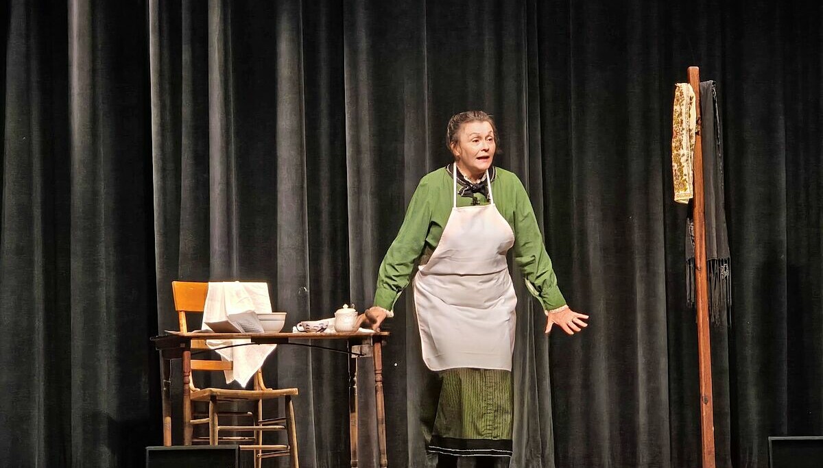 Madcap Living History Night brings ‘Typhoid Mary’ to life – Your Ohio News Madcap Living History Night brings ‘Typhoid Mary’ to life – Your Ohio News