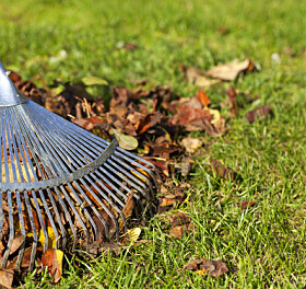 Mount Vernon begins annual leaf pickup Nov. 3