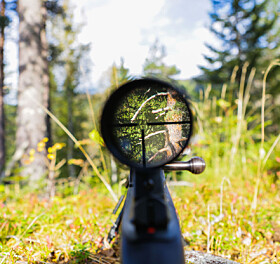 Farmers and hunters find common ground in managing wildlife and crops