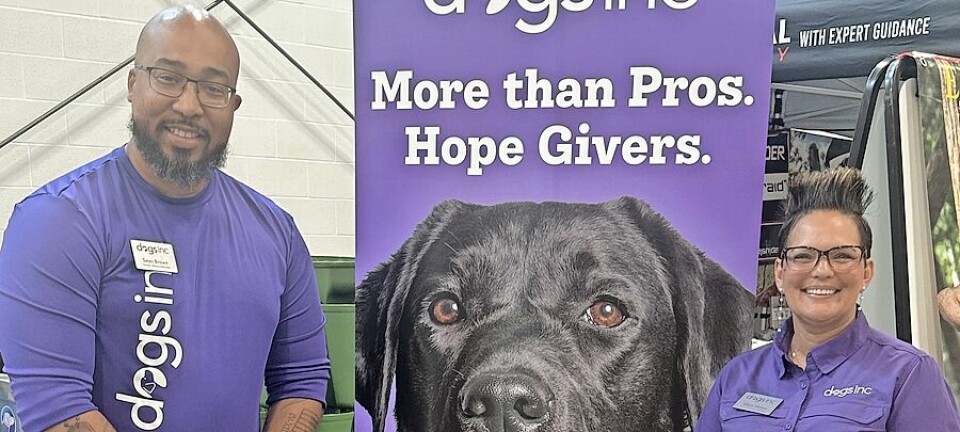 Dogs Inc. labradors bring healing and hope to veterans and Gold Star families