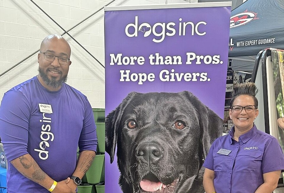 Dogs Inc. labradors bring healing and hope to veterans and Gold Star families