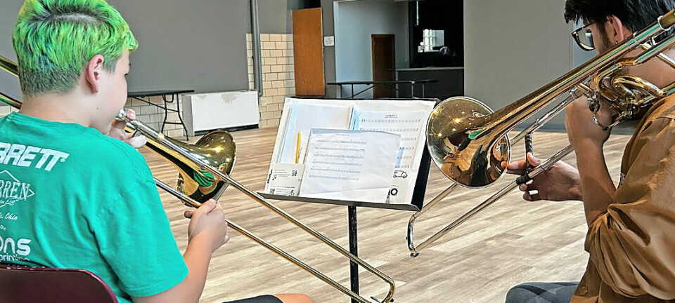 Wayne Center for the Arts partners with Pellegrino Music Center to expand music offerings