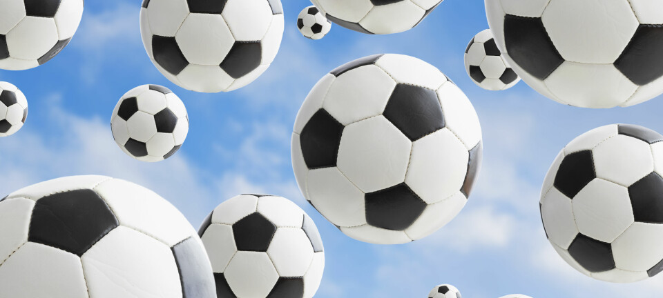 Medina boys and girls soccer squads reach Division I Sweet 16; Bees cross country teams qualify for state