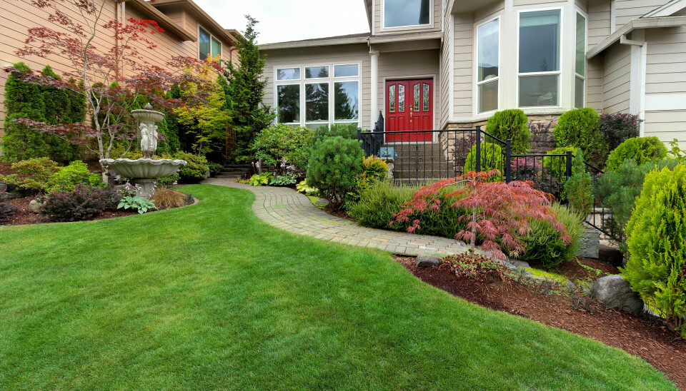 Tranquil Landscapes adds decorative concrete curbing service in Apple Creek