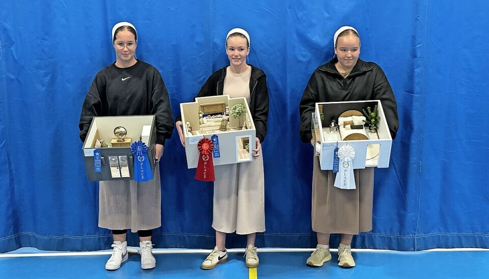 The overall winners for the mini bedroom contest were Abby Raber of Wise, who placed first; Ava Miller of Mt. Hope, who garnered second; and Alea Yoder of Chestnut Ridge, who placed third.