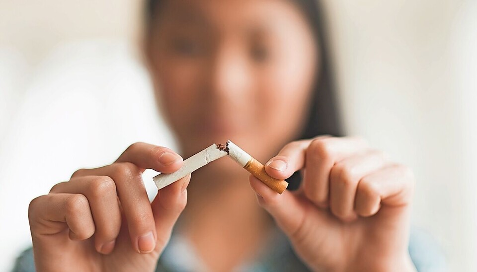 b b tobacco BB Full Flavour b b tobacco BB Full Flavour